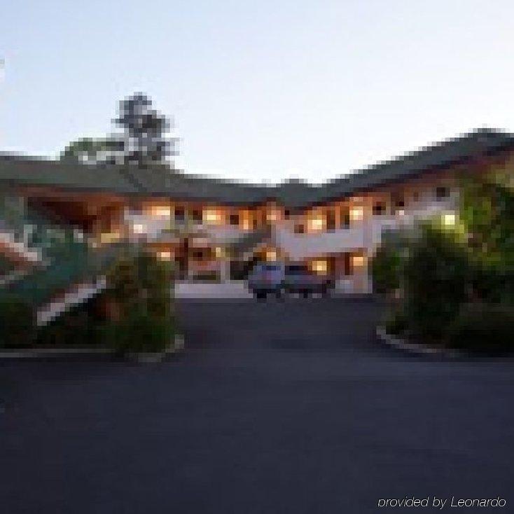 Ashwood Manor Motor Lodge Hamilton Dış mekan fotoğraf